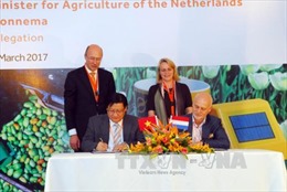 Hà Lan chia sẻ kinh nghiệm phát triển nông nghiệp bền vững tại Việt Nam